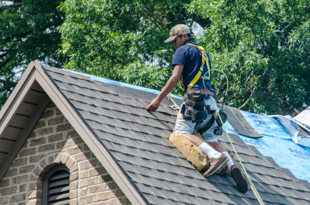 Quick and Trustworthy Emergency Roof Repair Services in Westchase, FL